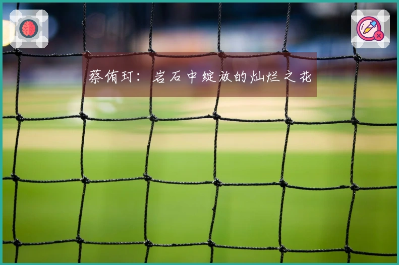 蔡侑玎：岩石中绽放的灿烂之花
