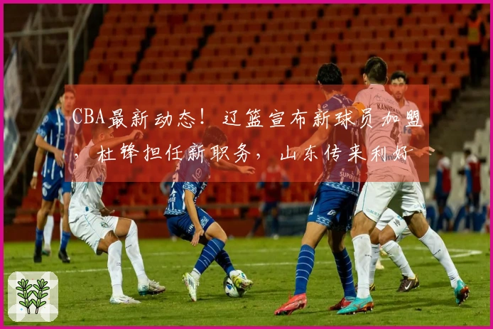 CBA最新动态!辽篮宣布新球员加盟,杜锋担任新职务,山东传来利好消息