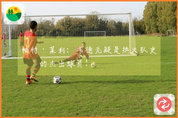 帕特·莱利：韦德无疑是热火队史上的杰出球员！
