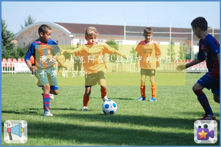 澳超：麦克阿瑟FC对阵中央海岸水手 赛前分析