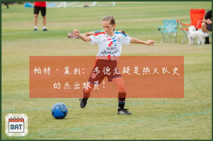 帕特·莱利：韦德无疑是热火队史上的杰出球员！